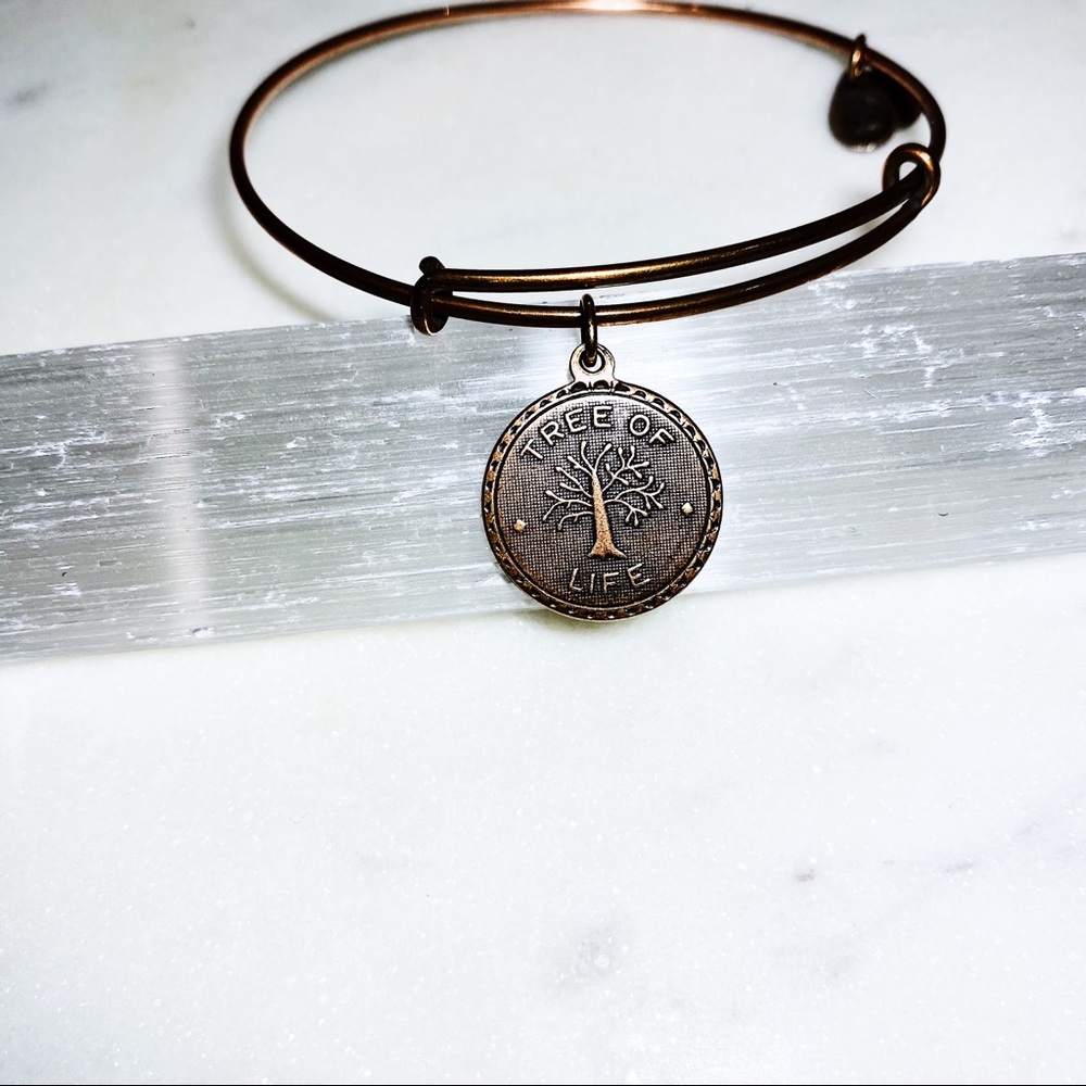 Alex and Ani “Tree of Life” Charm Bracelet